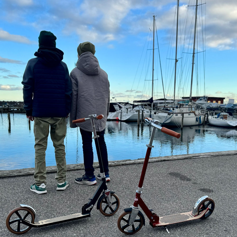 Story Compass Transport Cityroller