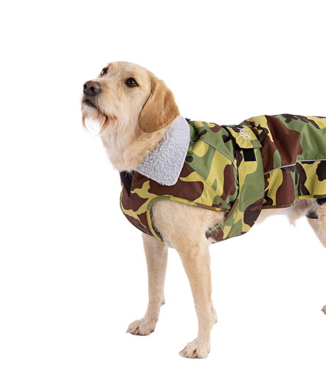 Dryrobe® Hundemantel/Hundejacke