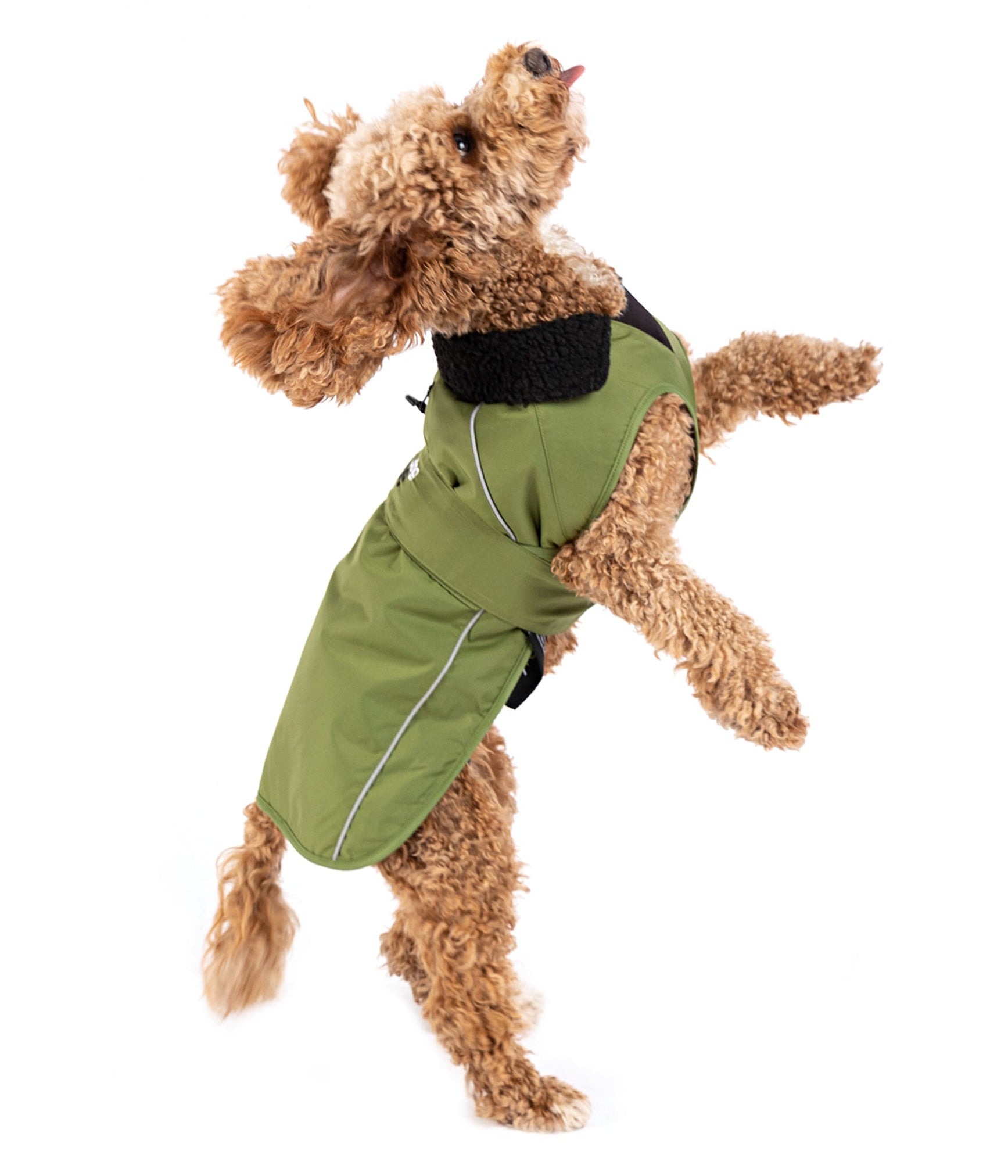 Dryrobe® Hundemantel/Hundejacke