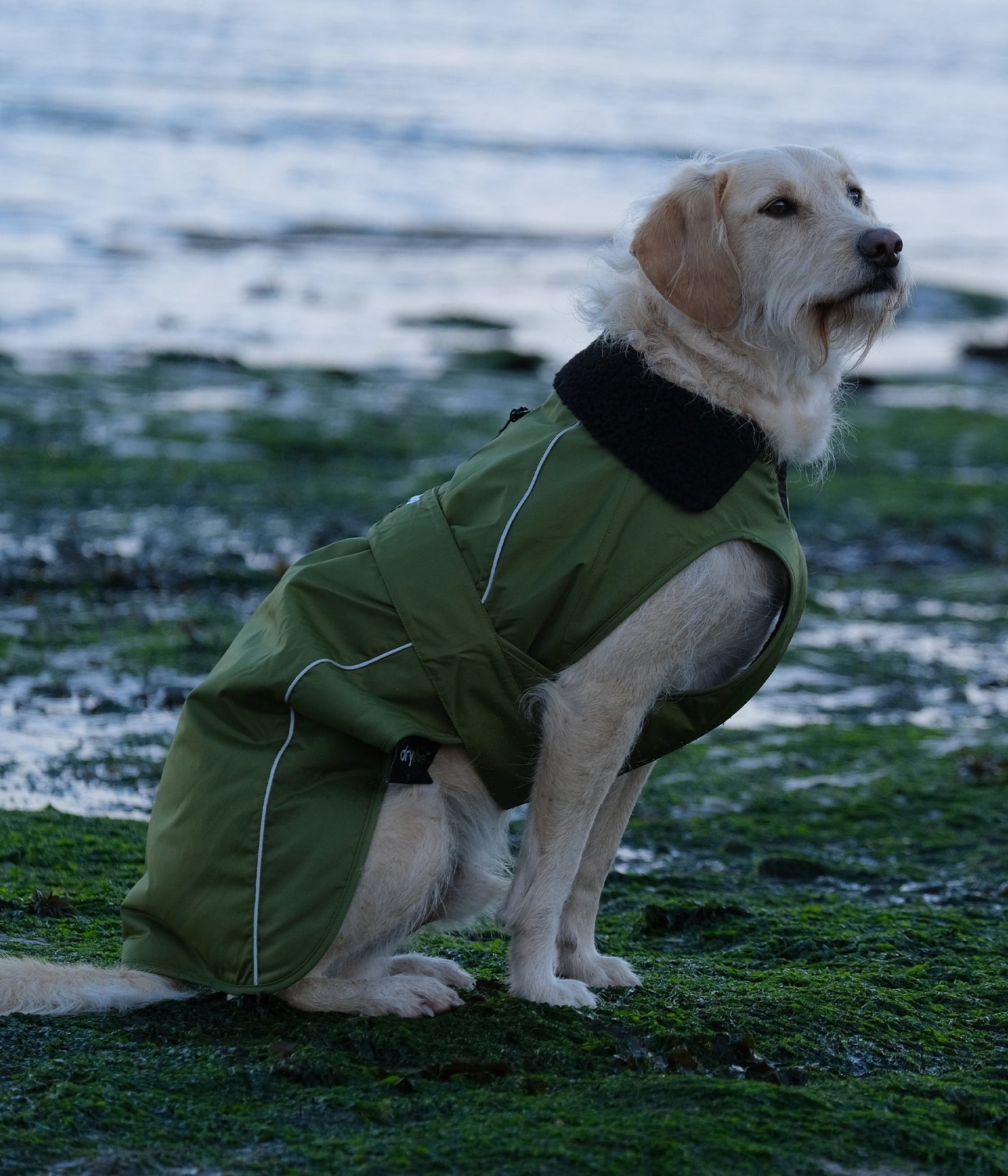 Dryrobe® Hundemantel/Hundejacke
