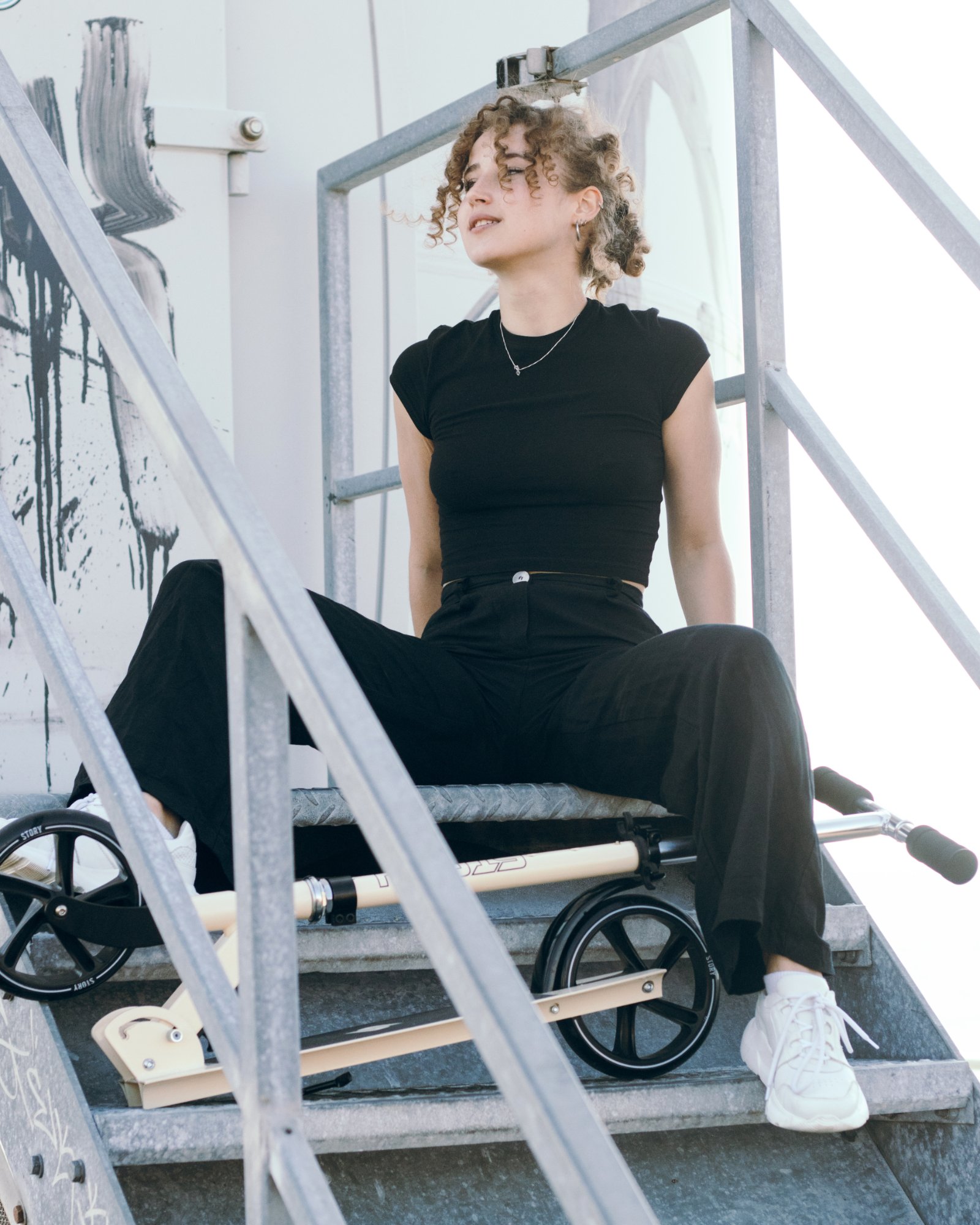 Story Swift Cityroller