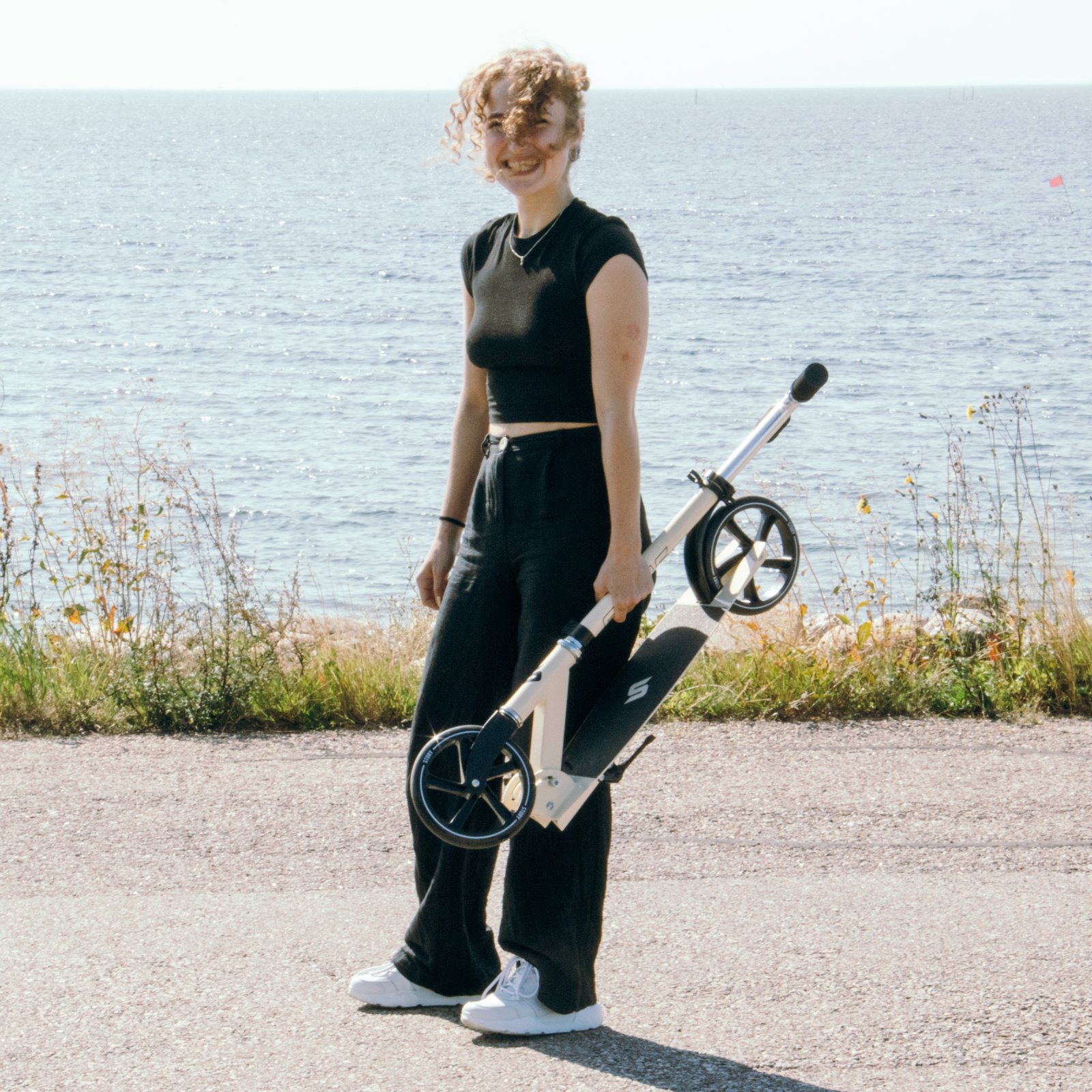 Story Swift Cityroller