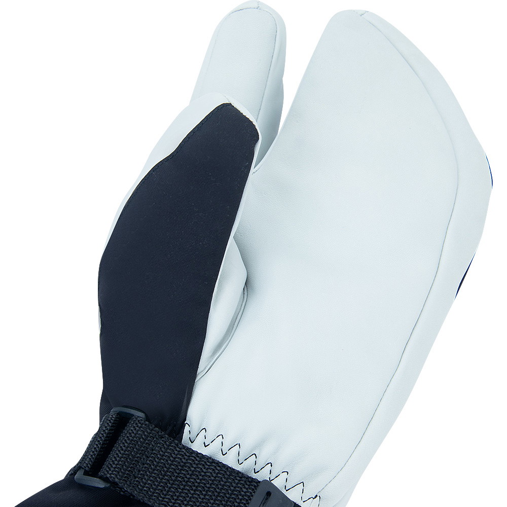 Annox Alpine Skihandschuhe aus Leder
